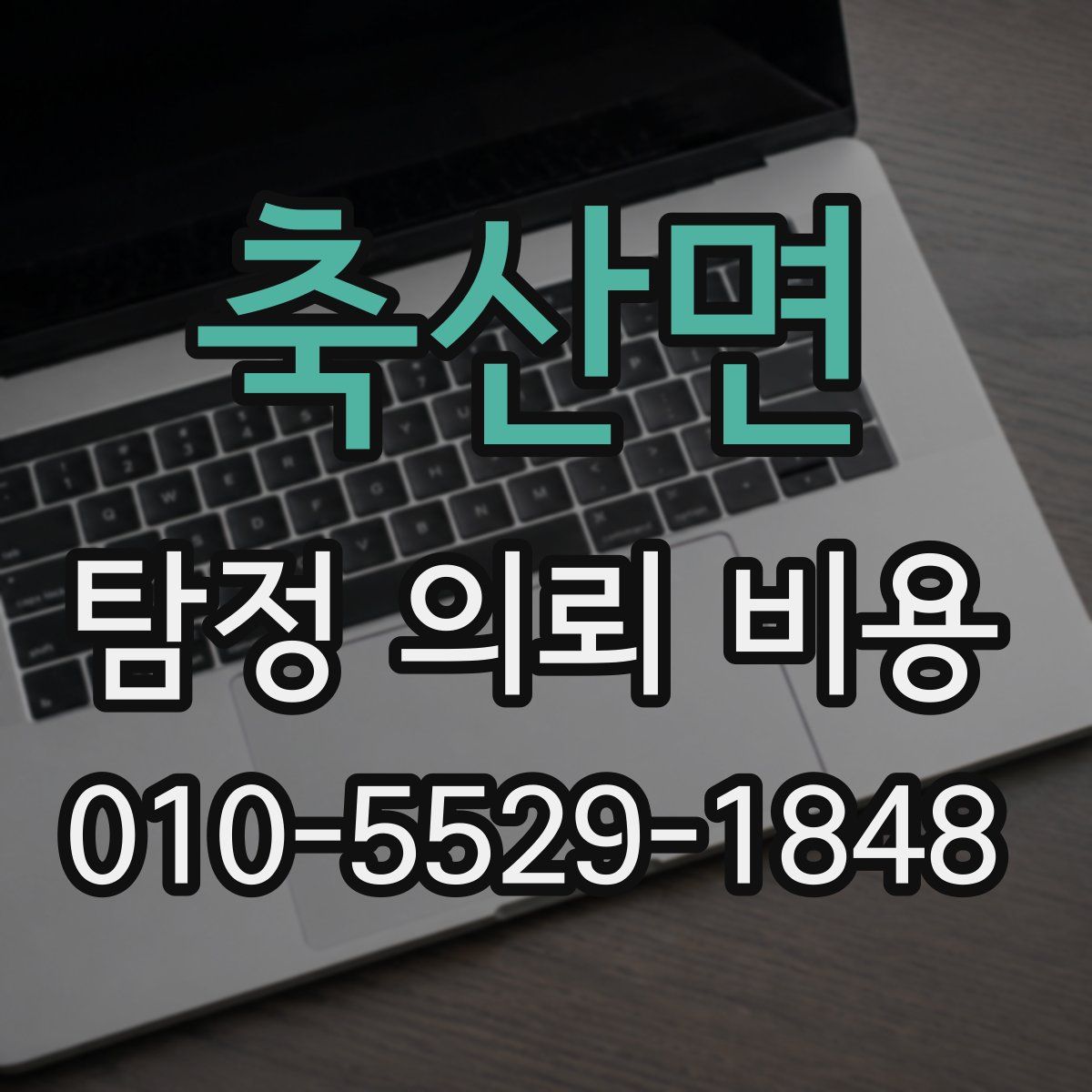축산면 탐정 의뢰 비용