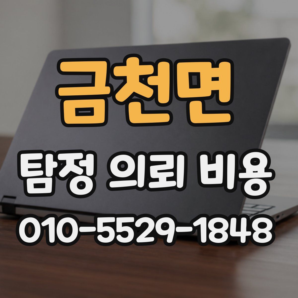 금천면 탐정 의뢰 비용