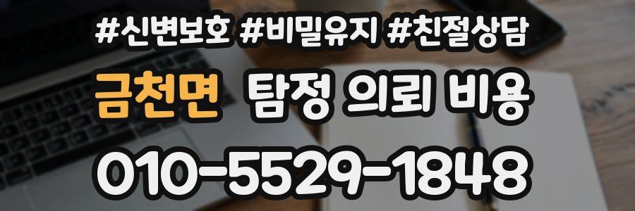 금천면 탐정 의뢰 비용