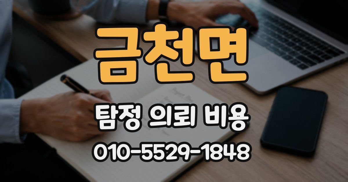금천면 탐정 의뢰 비용