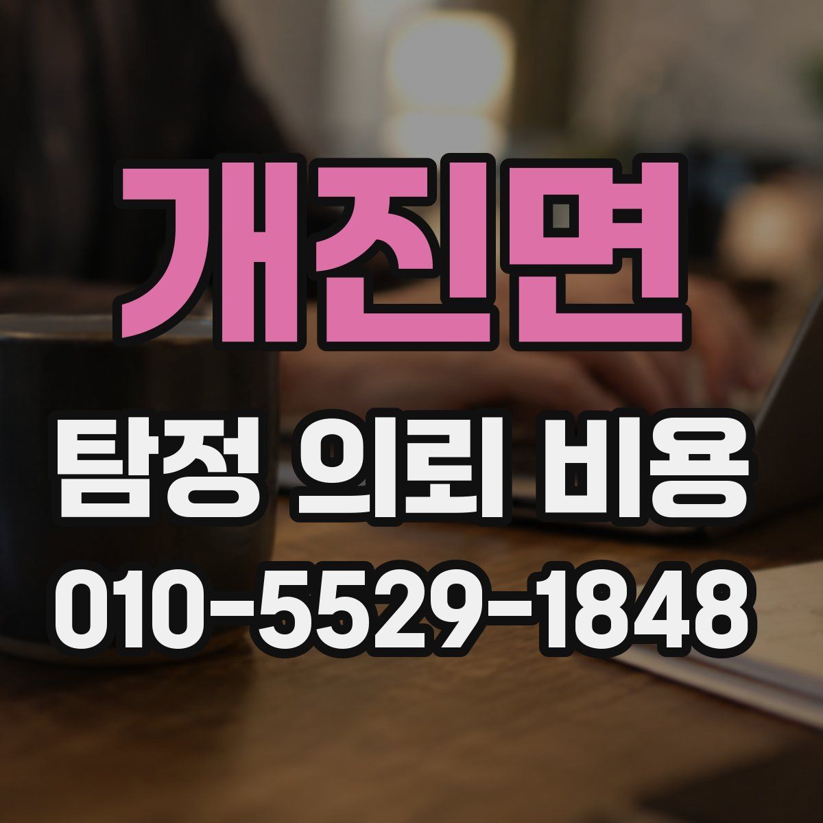개진면 탐정 의뢰 비용