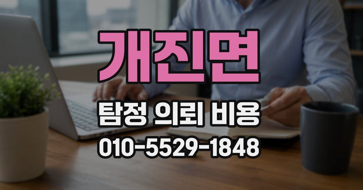 개진면 탐정 의뢰 비용