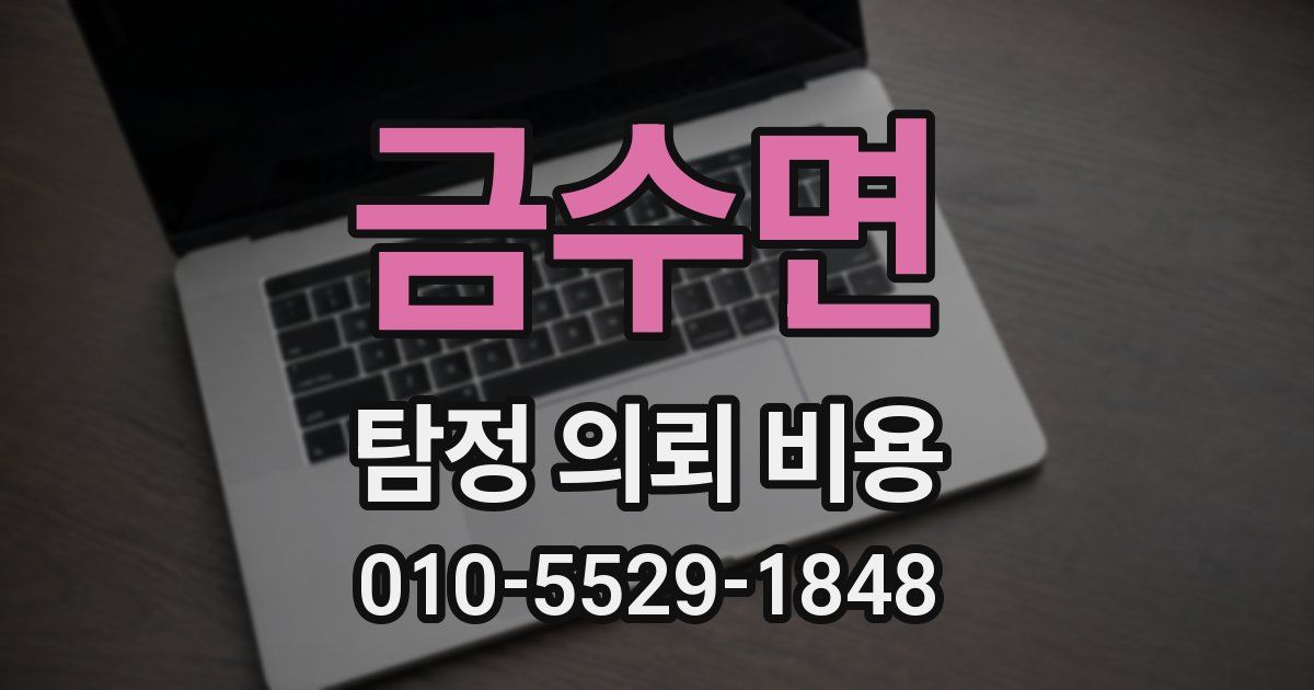 금수면 탐정 의뢰 비용