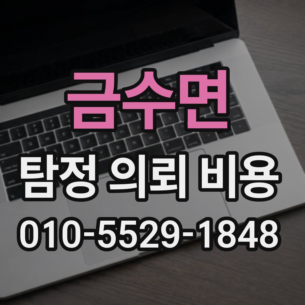 금수면 탐정 의뢰 비용
