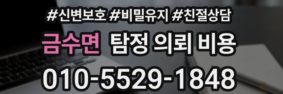 금수면 탐정 의뢰 비용