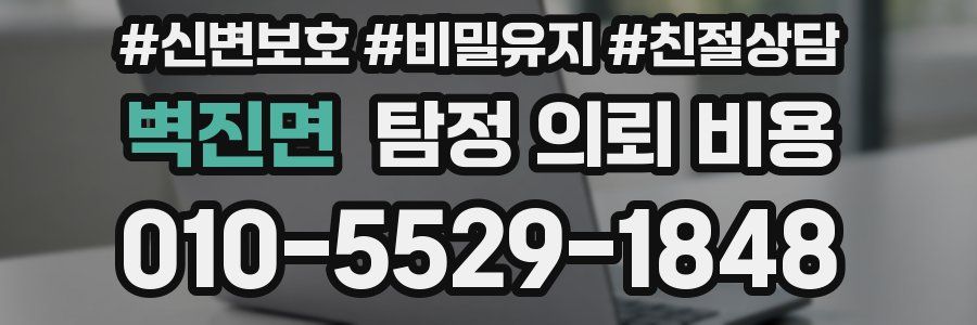 벽진면 탐정 의뢰 비용
