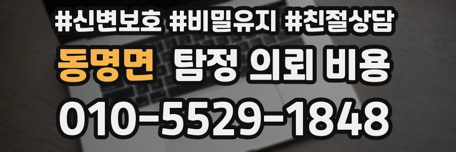 동명면 탐정 의뢰 비용