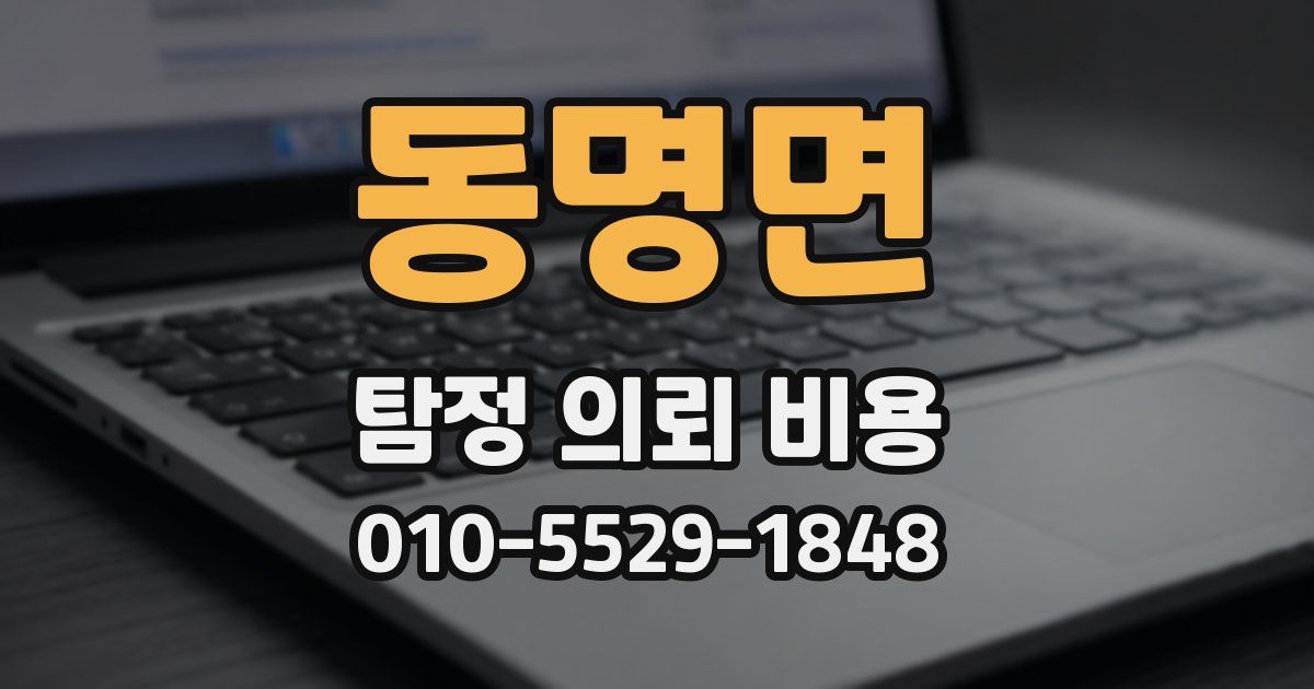 동명면 탐정 의뢰 비용