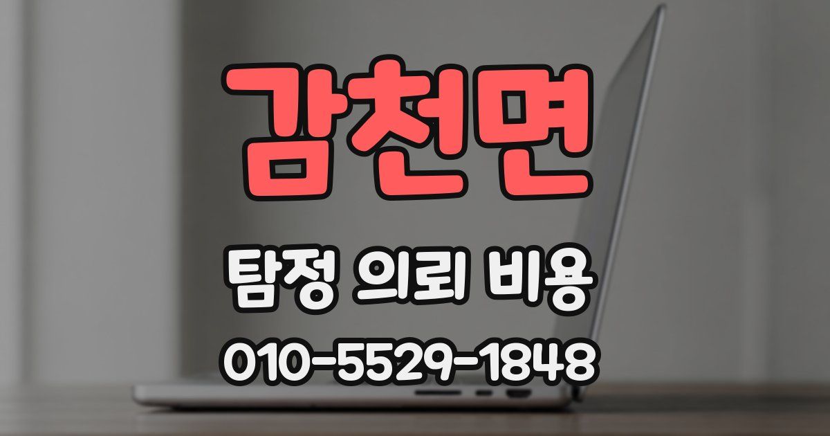 감천면 탐정 의뢰 비용