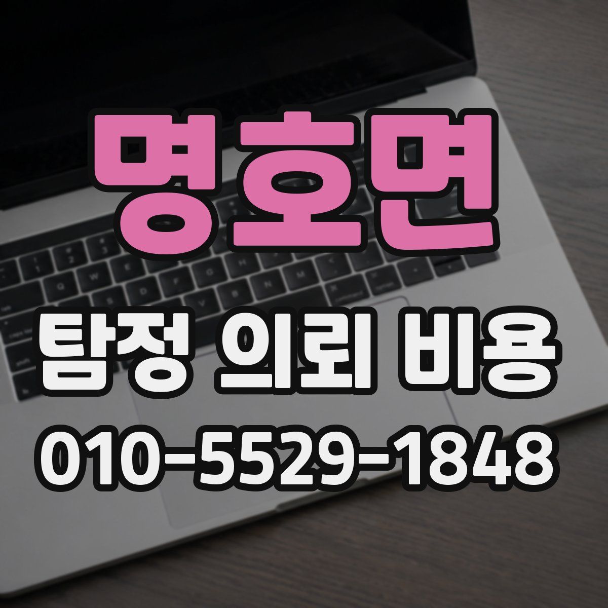 명호면 탐정 의뢰 비용
