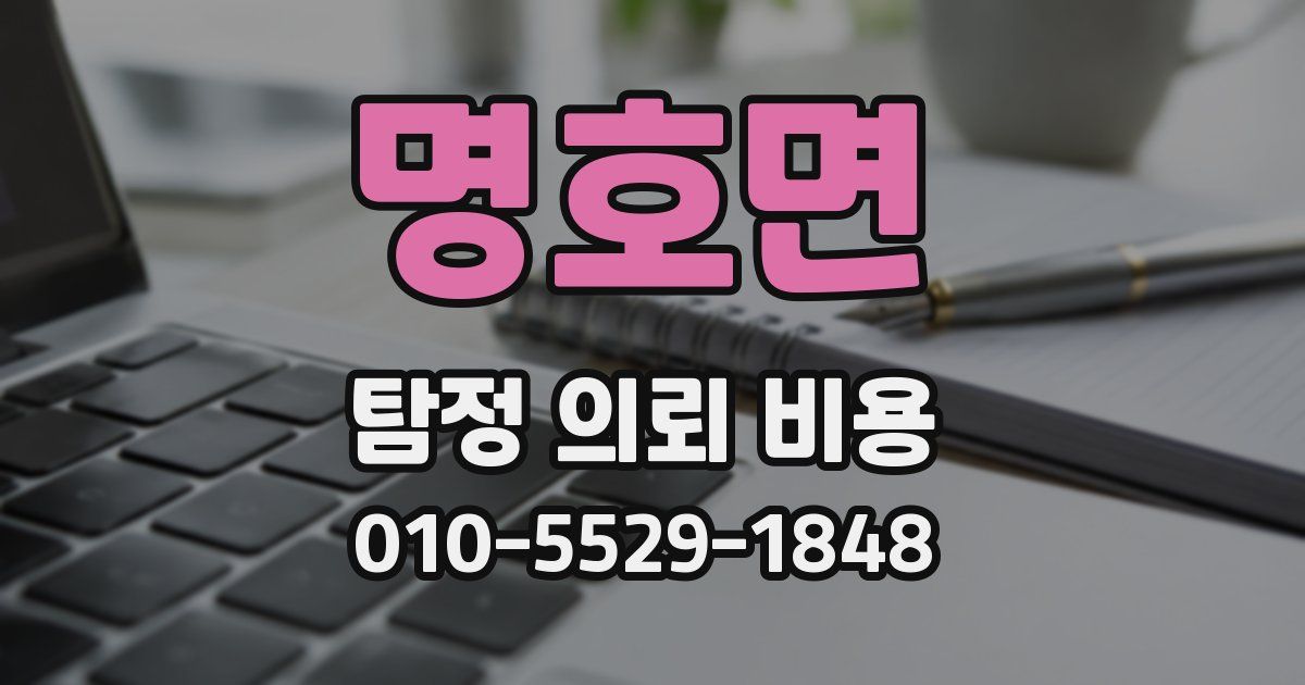 명호면 탐정 의뢰 비용