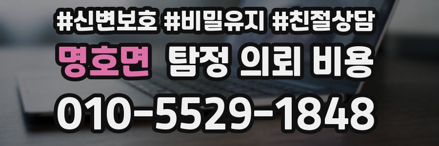 명호면 탐정 의뢰 비용