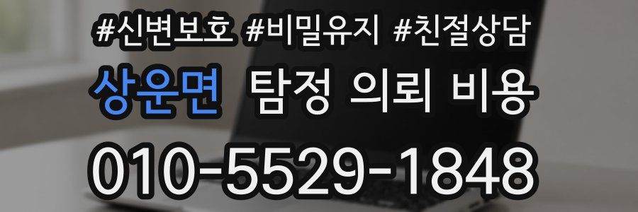 상운면 탐정 의뢰 비용