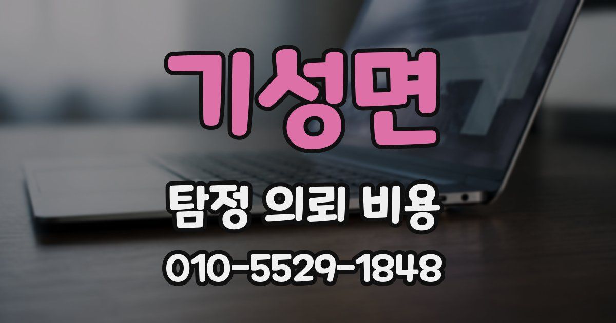 기성면 탐정 의뢰 비용