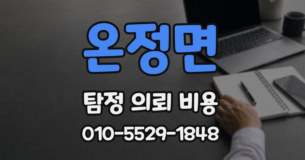 온정면 탐정 의뢰 비용
