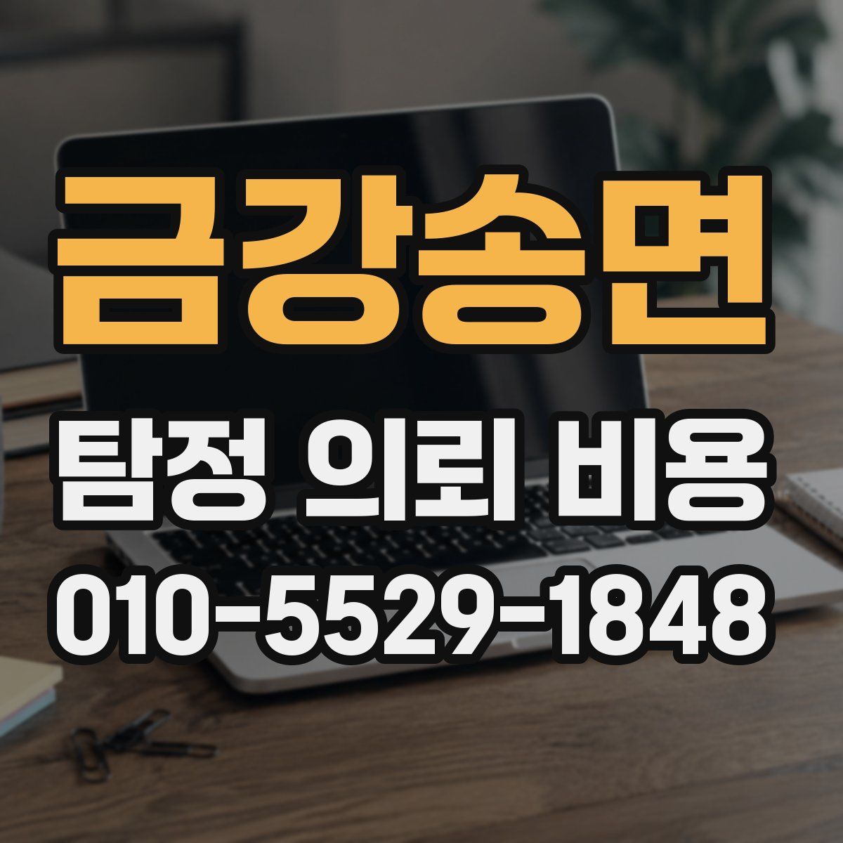 금강송면 탐정 의뢰 비용