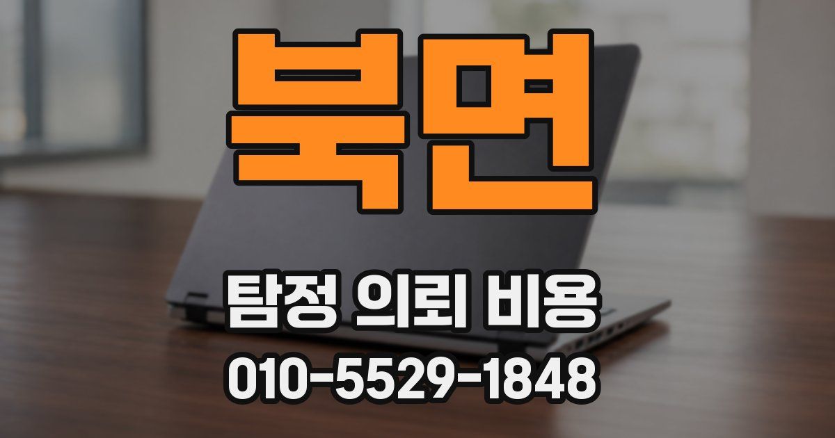 북면 탐정 의뢰 비용