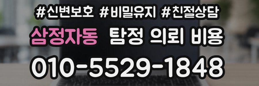 삼정자동 탐정 의뢰 비용