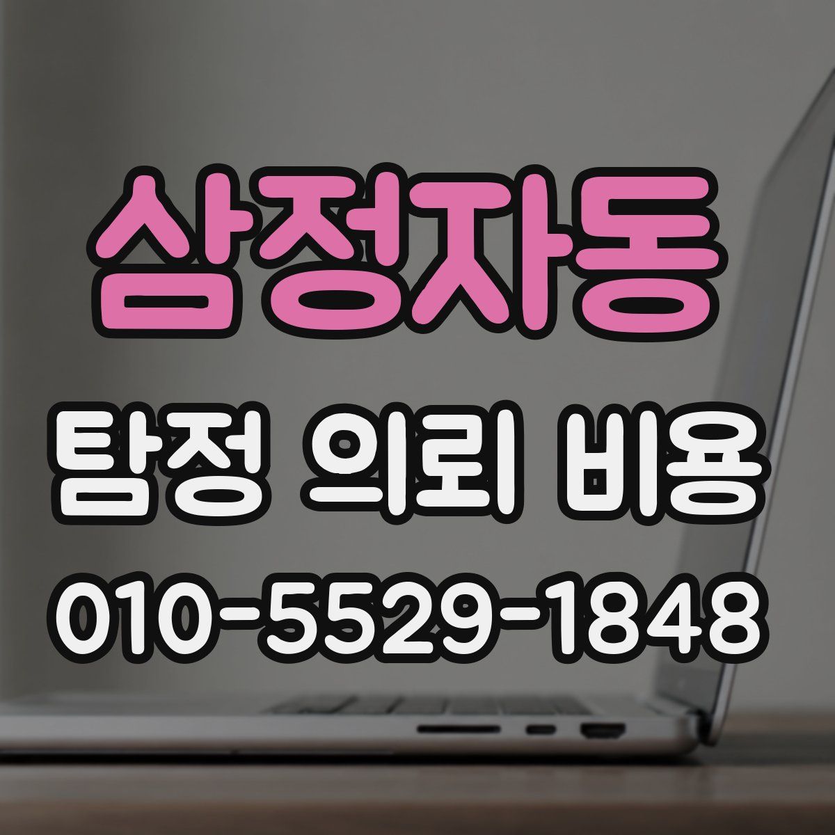 삼정자동 탐정 의뢰 비용