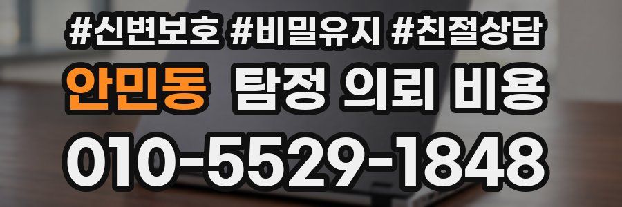 안민동 탐정 의뢰 비용