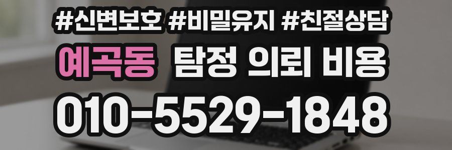 예곡동 탐정 의뢰 비용