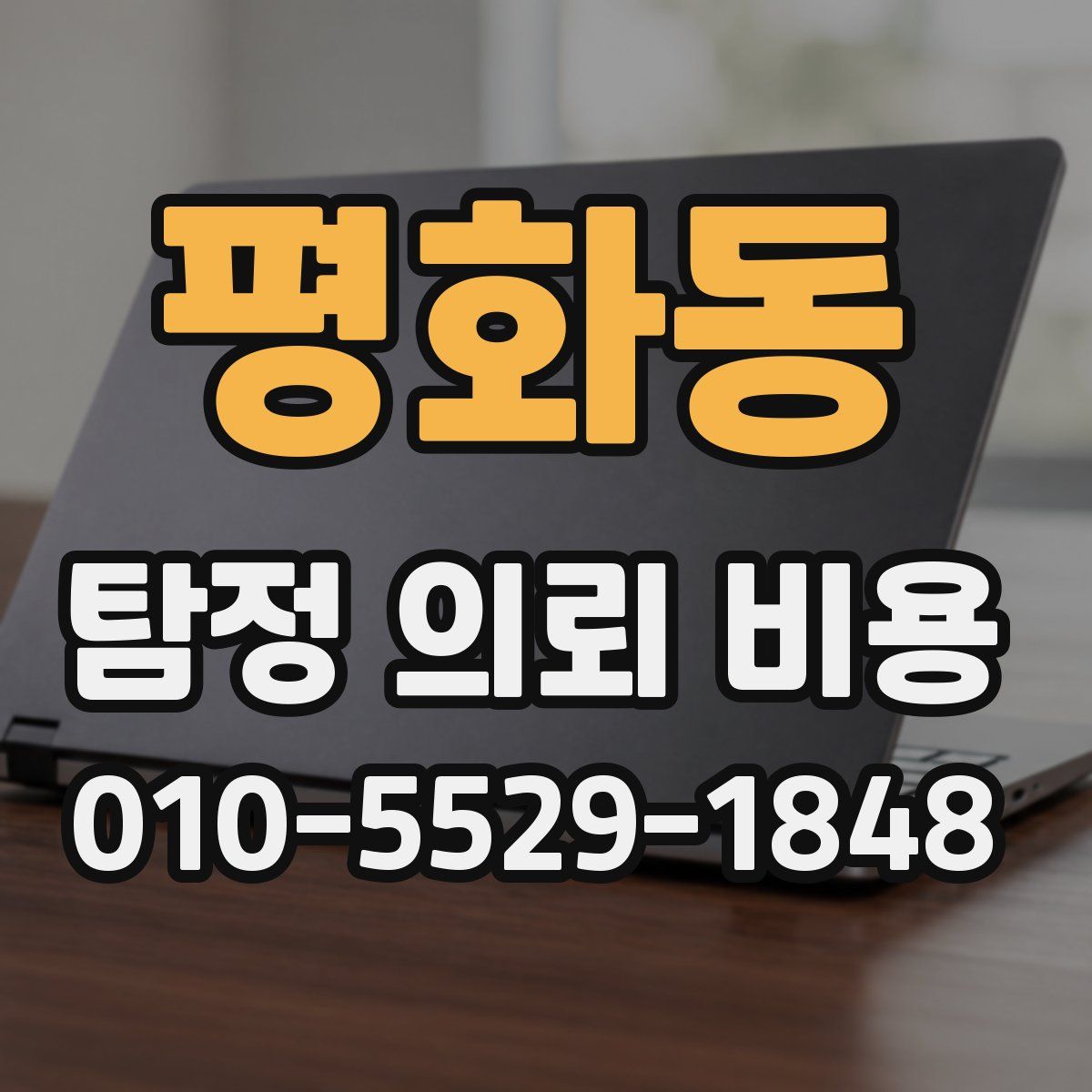 평화동 탐정 의뢰 비용