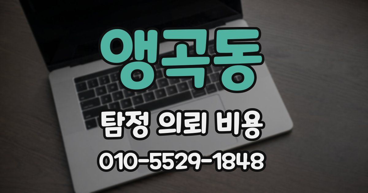 앵곡동 탐정 의뢰 비용