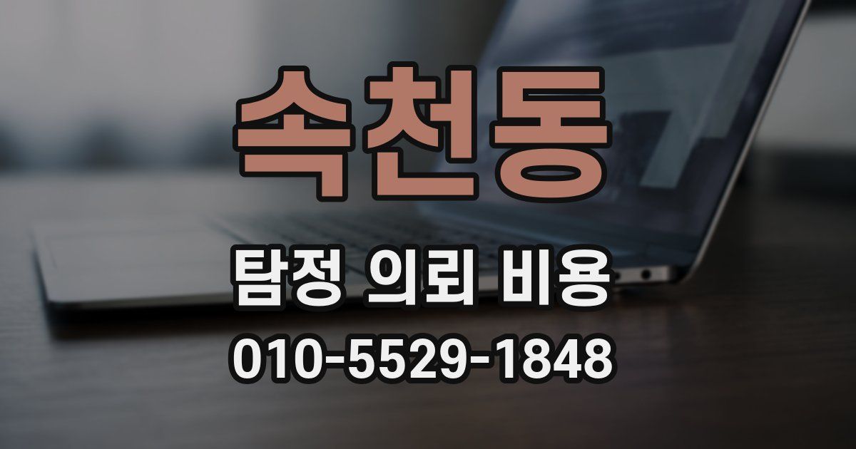 속천동 탐정 의뢰 비용