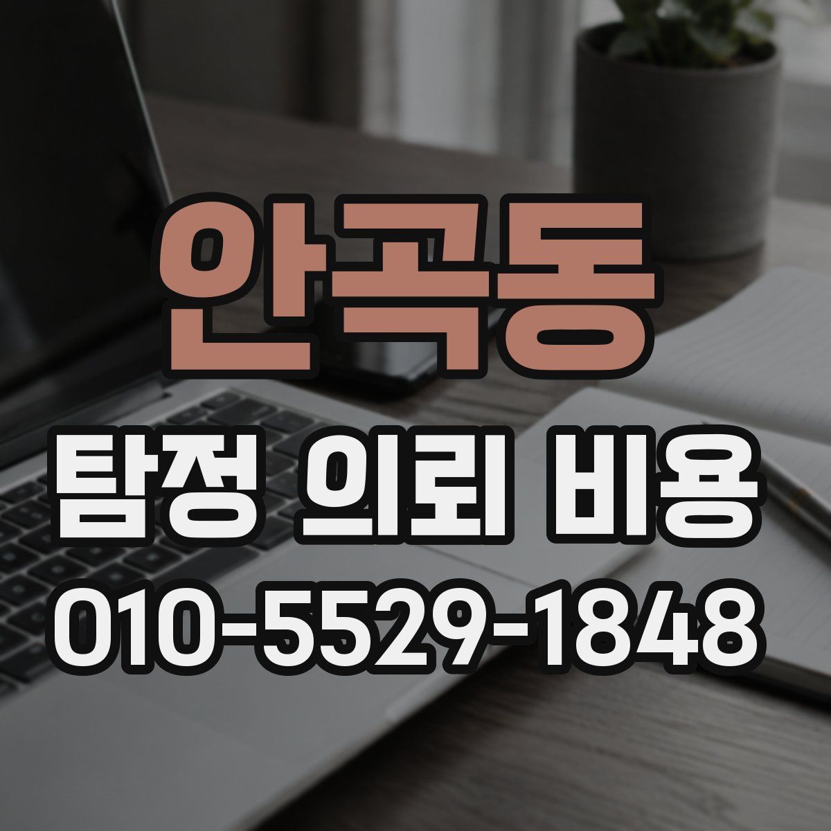 안곡동 탐정 의뢰 비용
