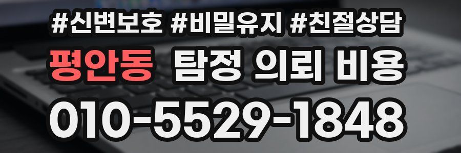 평안동 탐정 의뢰 비용