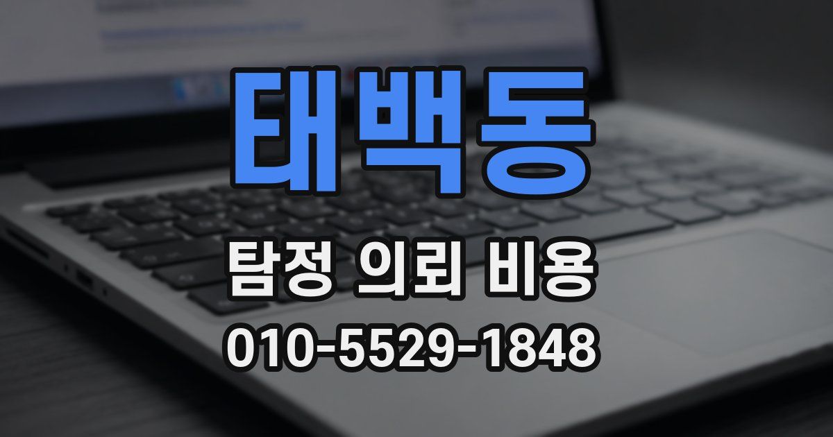 태백동 탐정 의뢰 비용