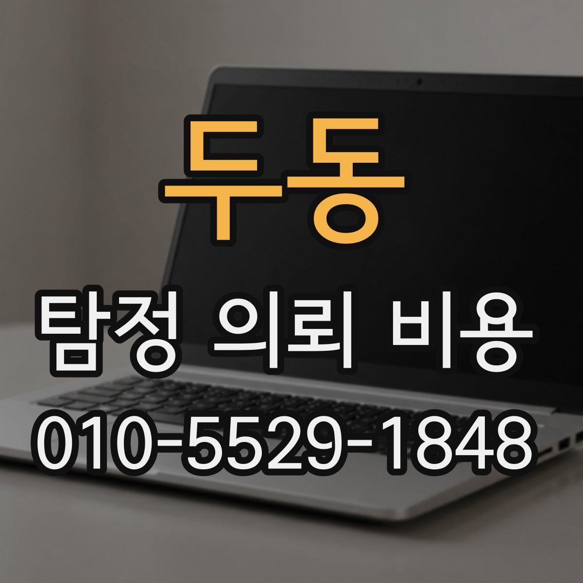 두동 탐정 의뢰 비용