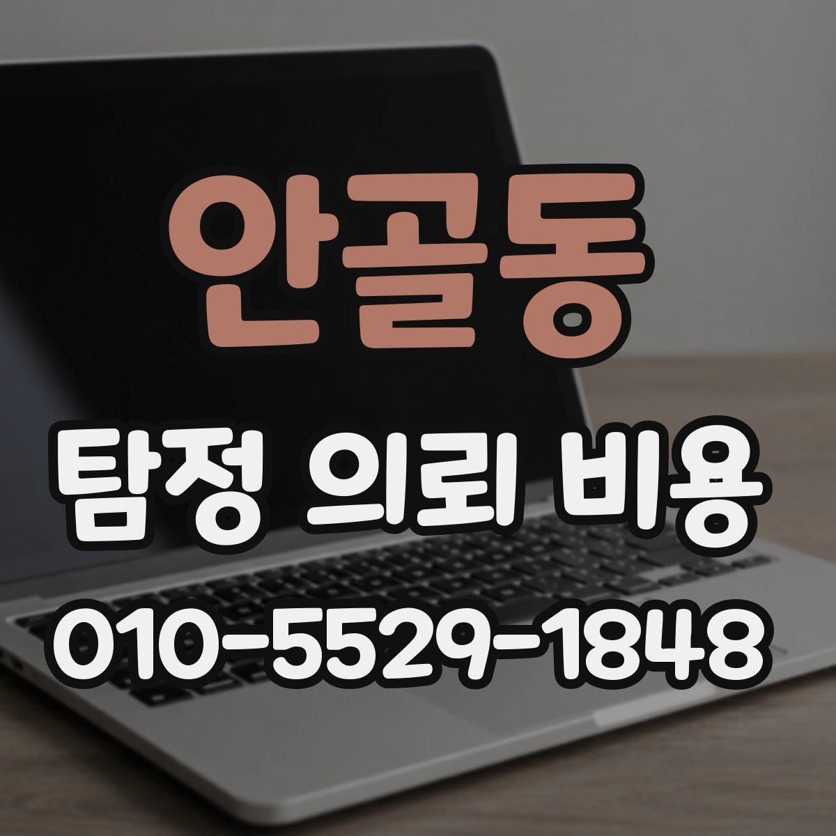 안골동 탐정 의뢰 비용