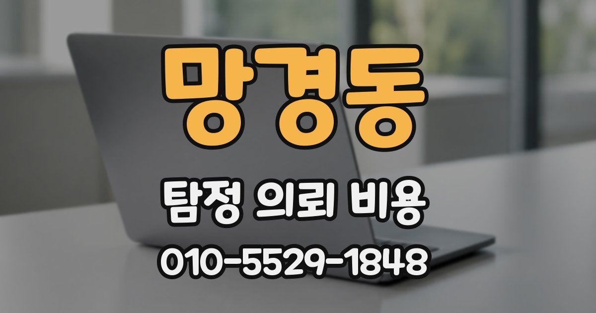 망경동 탐정 의뢰 비용