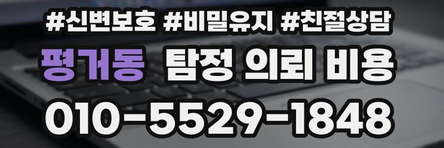 평거동 탐정 의뢰 비용
