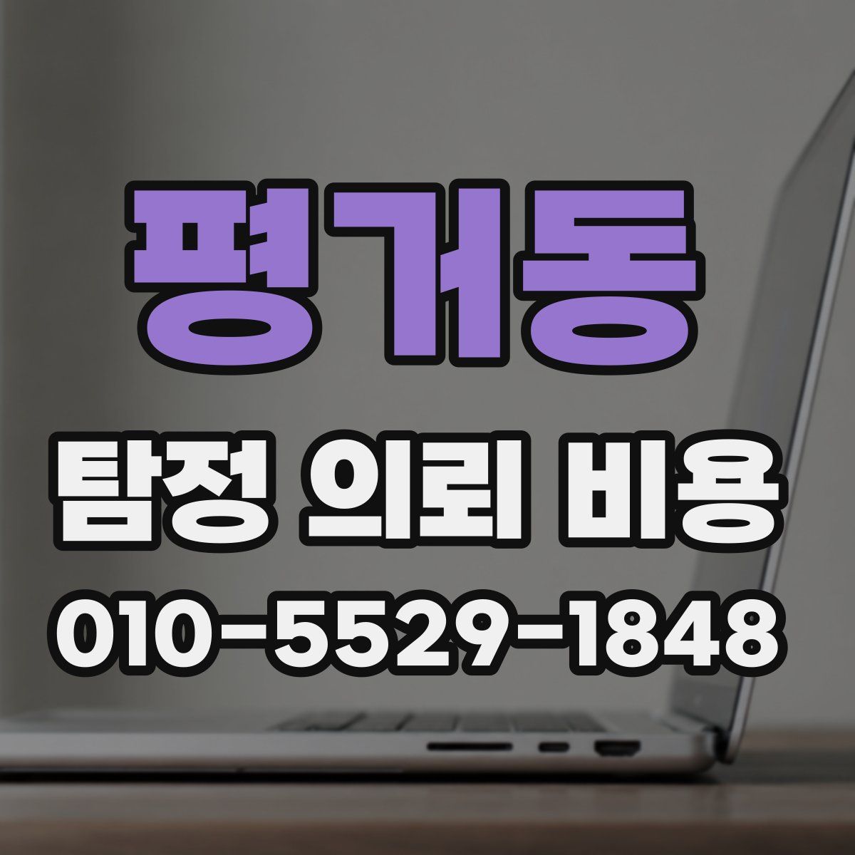 평거동 탐정 의뢰 비용