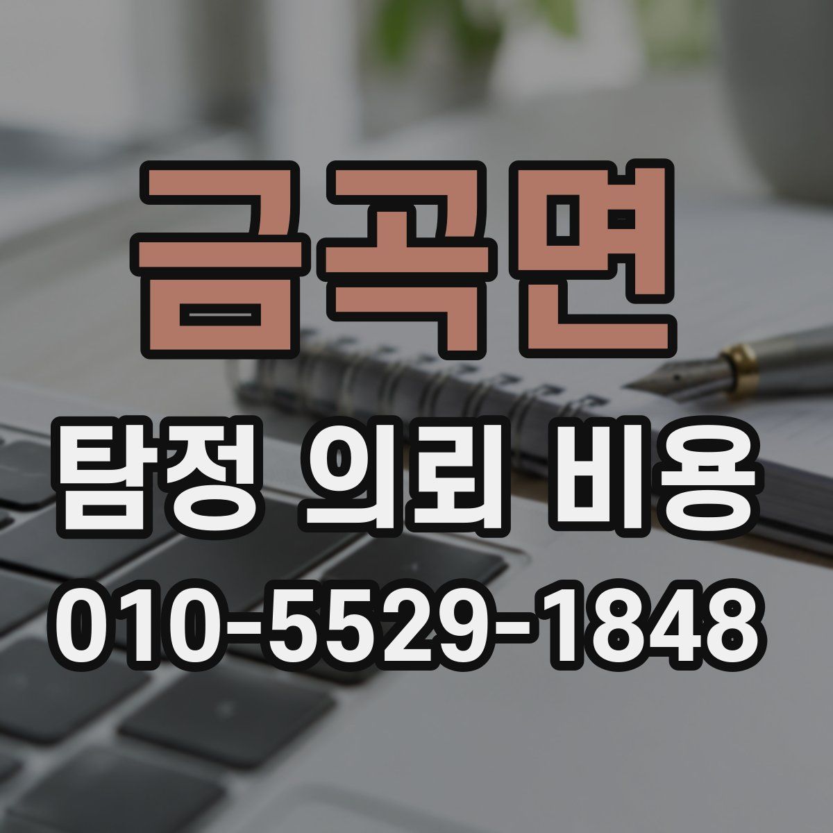 금곡면 탐정 의뢰 비용