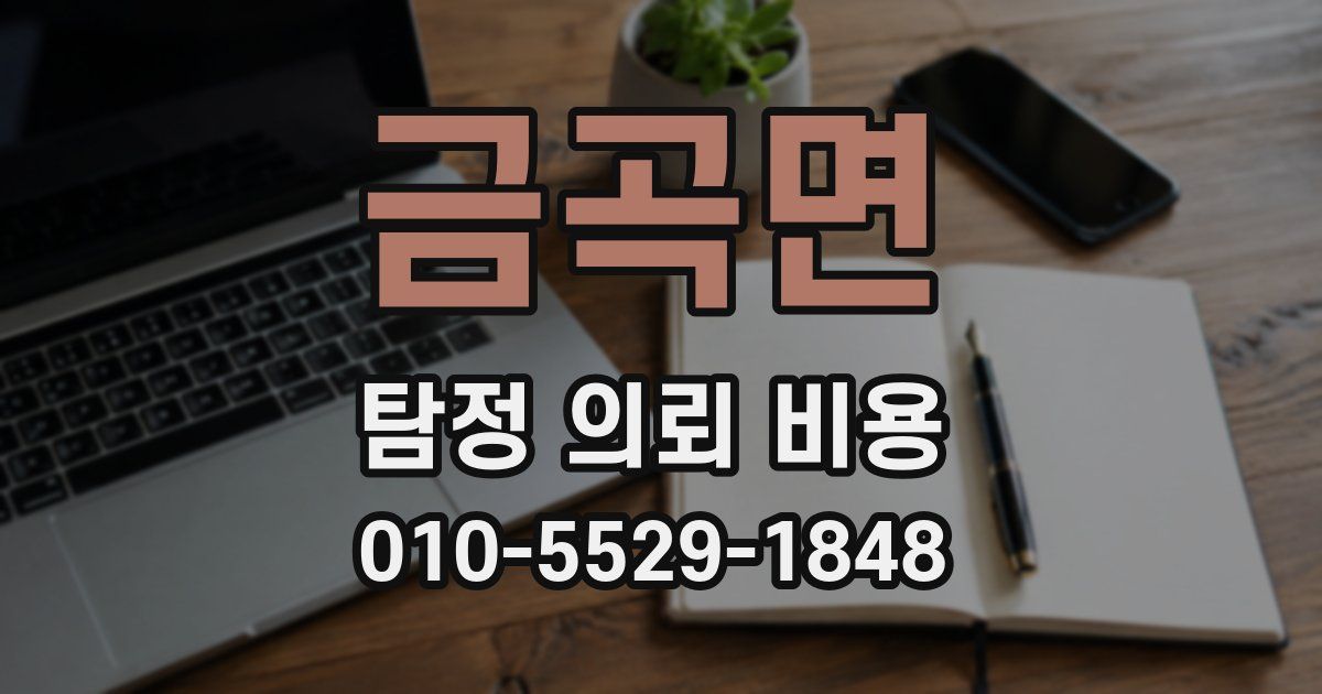 금곡면 탐정 의뢰 비용