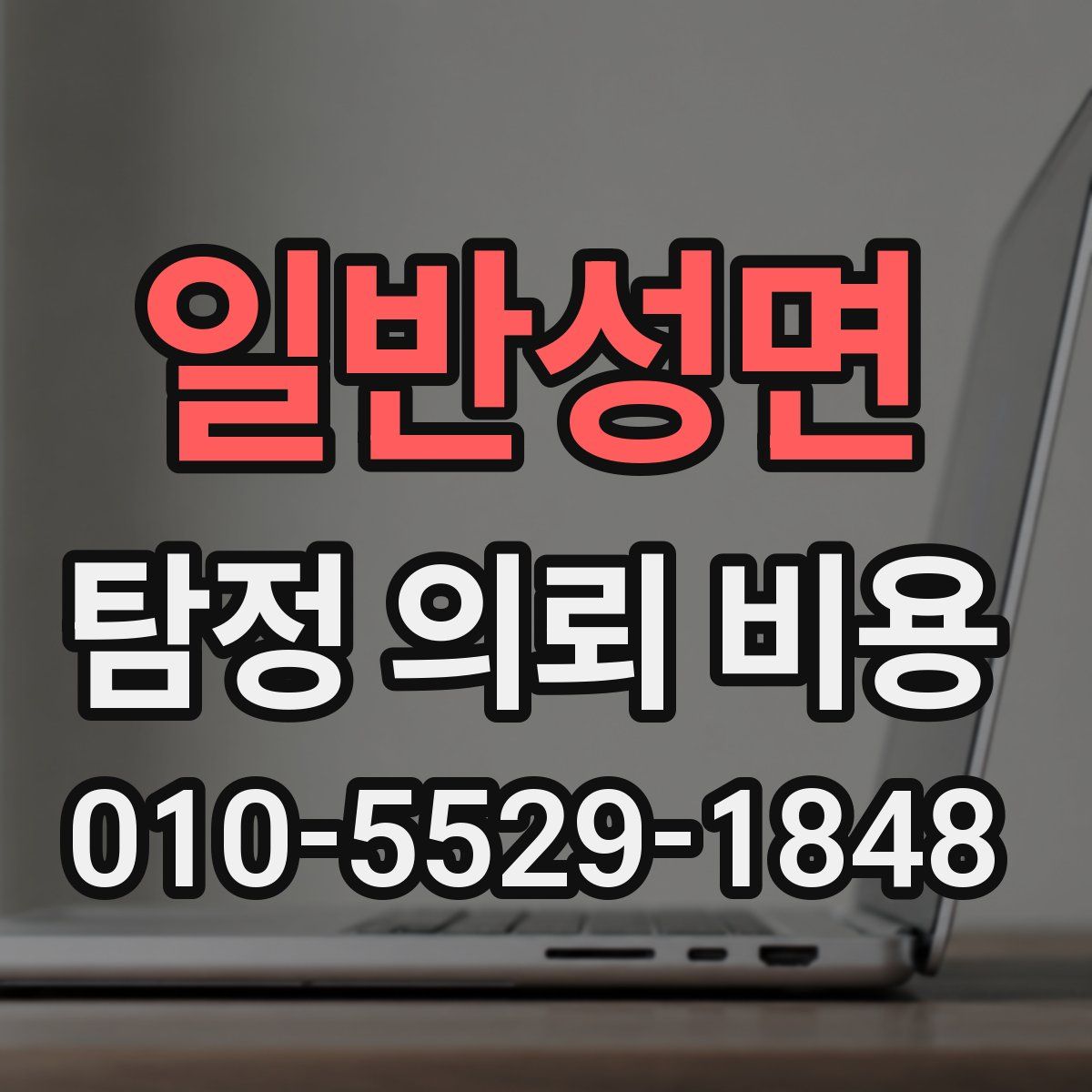 일반성면 탐정 의뢰 비용