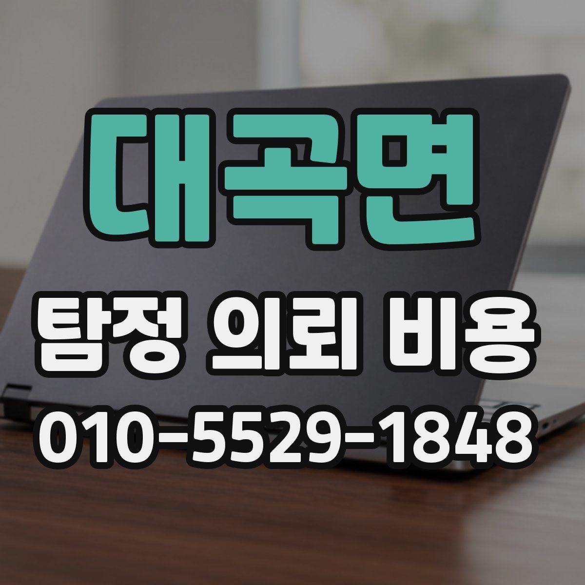 대곡면 탐정 의뢰 비용