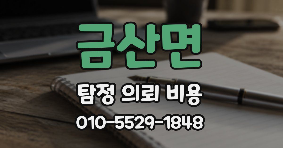금산면 탐정 의뢰 비용