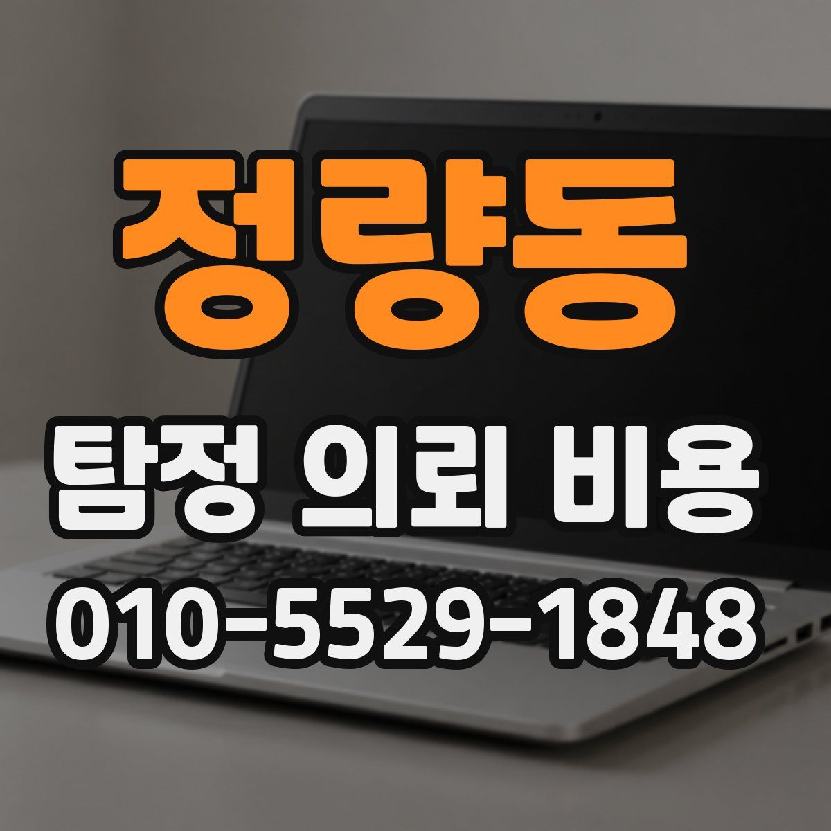 정량동 탐정 의뢰 비용