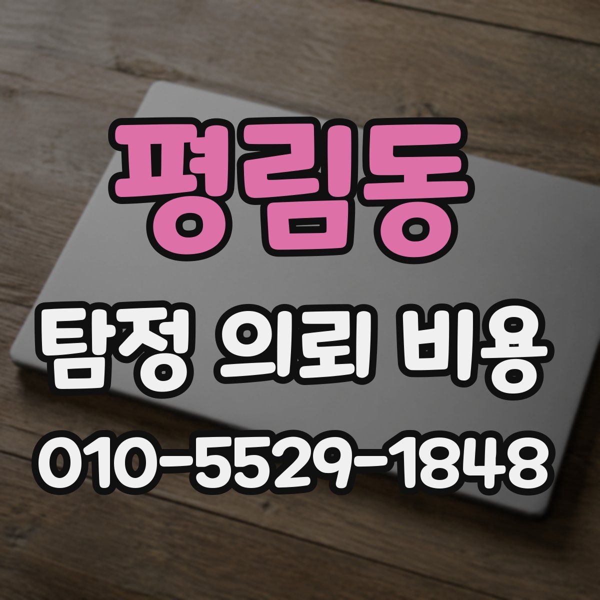 평림동 탐정 의뢰 비용