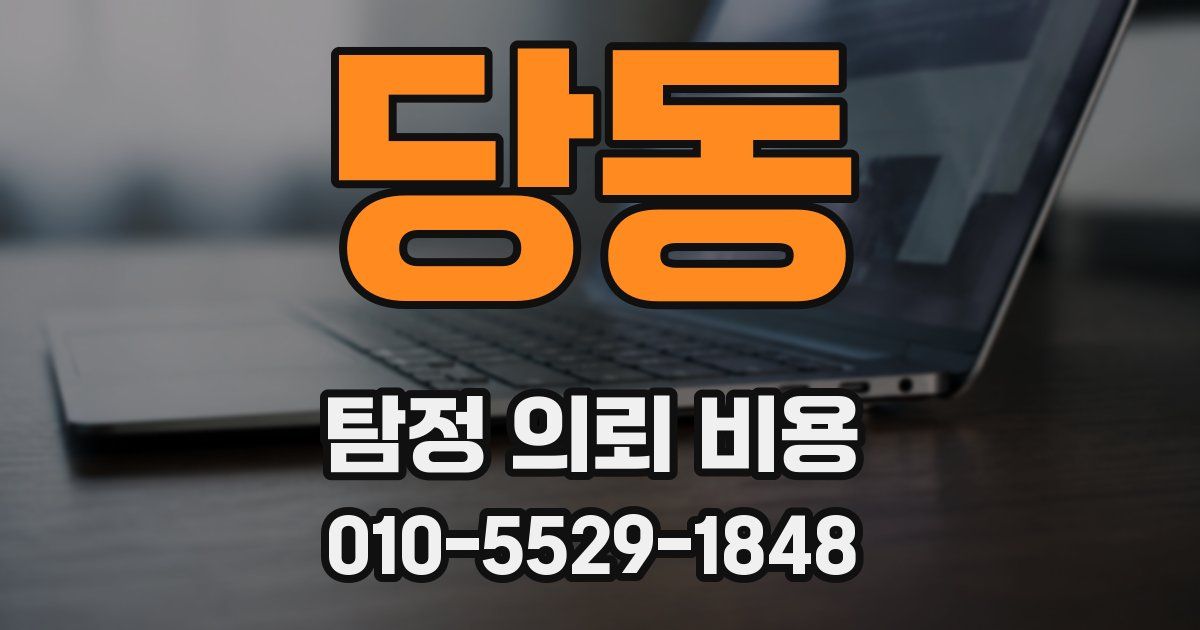 당동 탐정 의뢰 비용