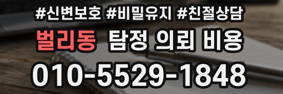 벌리동 탐정 의뢰 비용