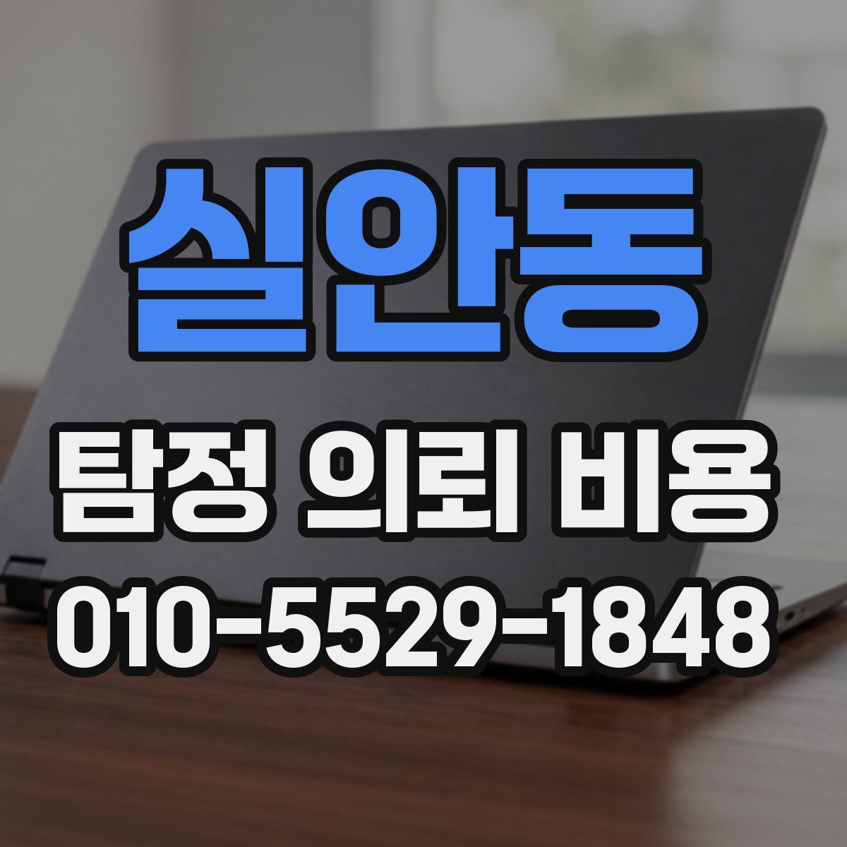 실안동 탐정 의뢰 비용