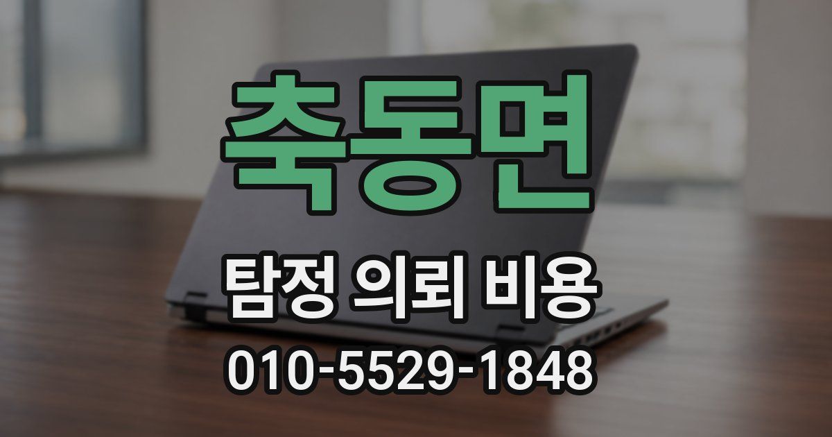 축동면 탐정 의뢰 비용