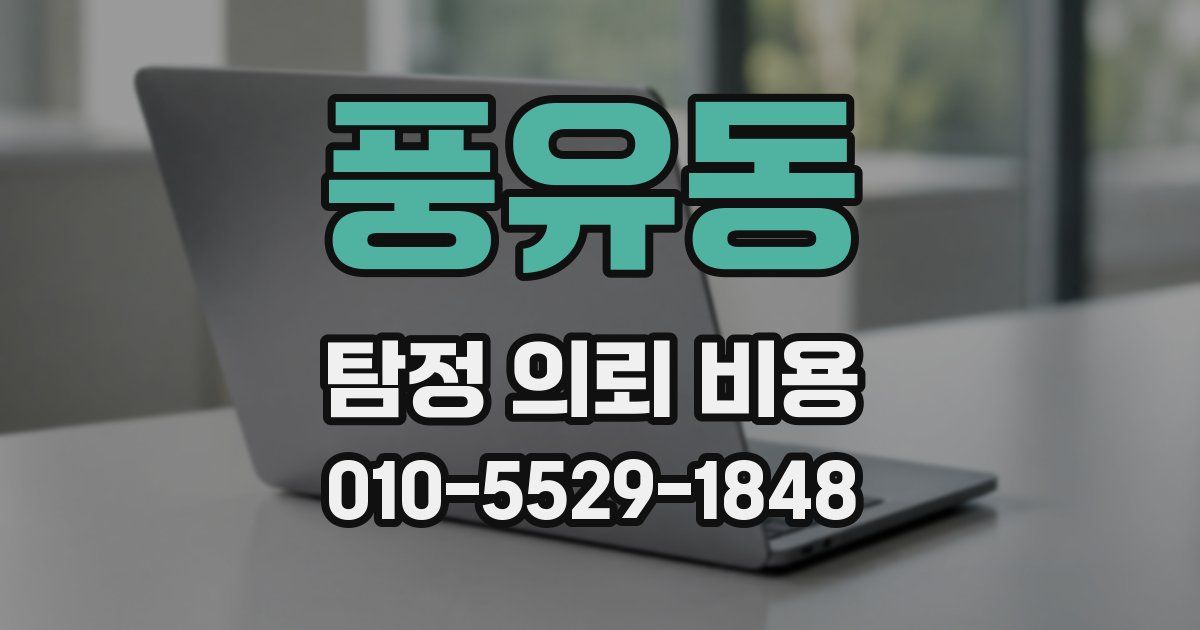 풍유동 탐정 의뢰 비용