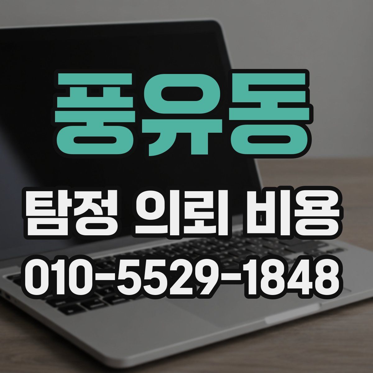 풍유동 탐정 의뢰 비용