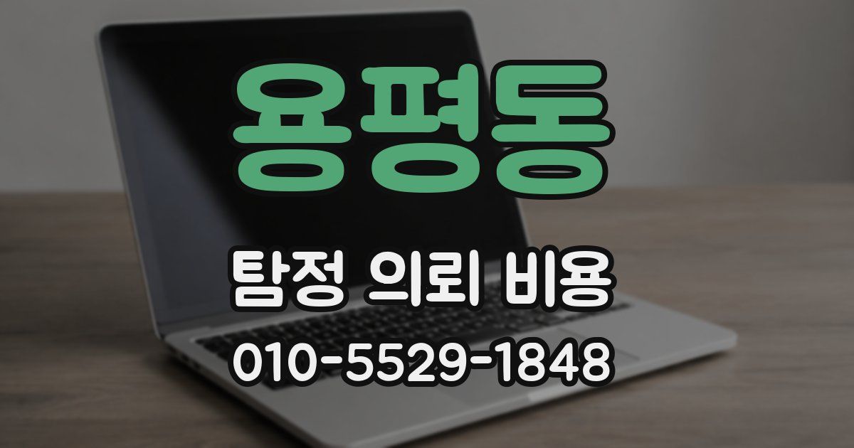 용평동 탐정 의뢰 비용